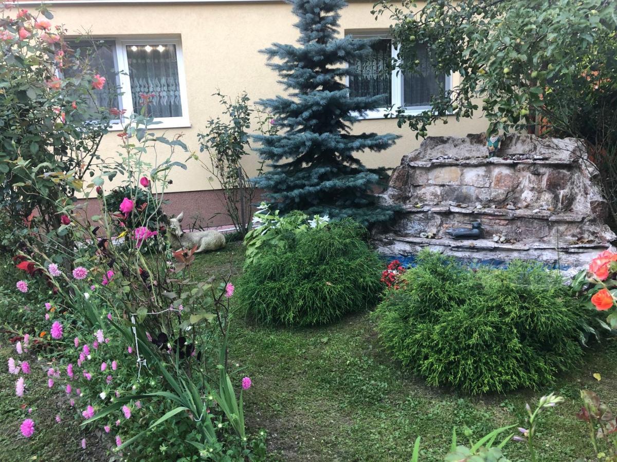 Casa Todea Hotel Cimpeni Exterior photo